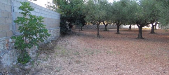 Коммерческая недвижимость с 3 спальнями в Закинтос, Греция № 554 7