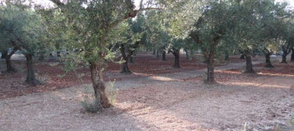 Коммерческая недвижимость с 3 спальнями в Закинтос, Греция № 554 11