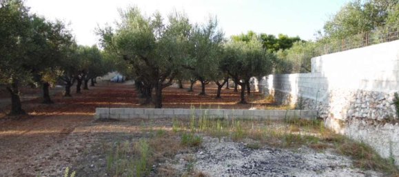 Коммерческая недвижимость с 3 спальнями в Закинтос, Греция № 554 8