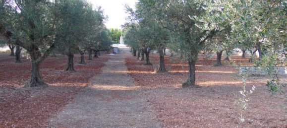 Коммерческая недвижимость с 3 спальнями в Закинтос, Греция № 554 9