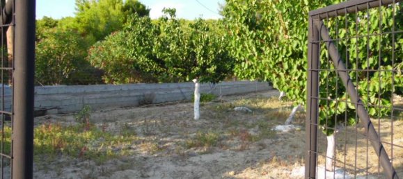 Коммерческая недвижимость с 3 спальнями в Закинтос, Греция № 554 12