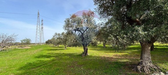 3187m² Land in Bari, Italy No. 362049 5