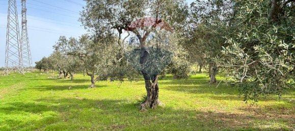 3187m² Land in Bari, Italy No. 362049 4