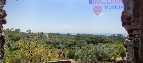 3 Schlafzimmer Haus in Alvaiazere, Portugal, Nr. 215368 27