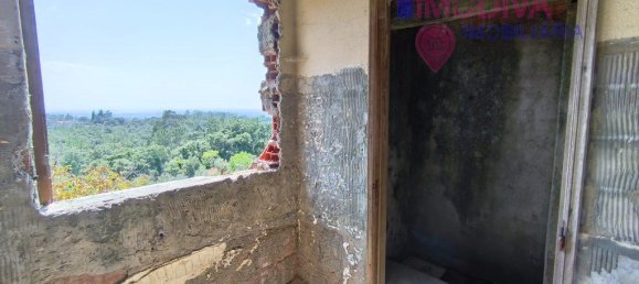 3 Schlafzimmer Haus in Alvaiazere, Portugal, Nr. 215368 18