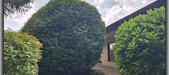 2 Schlafzimmer Bungalow in Worms, Germany, Nr. 320436 17