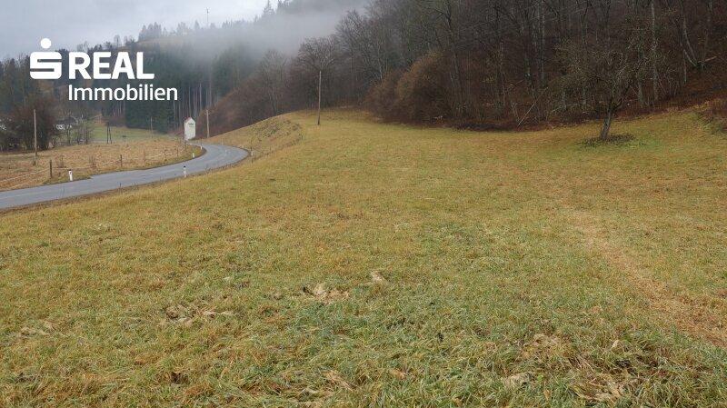 Grundstück in Deutschfeistritz, Austria, Nr. 34874