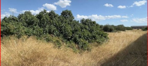 Grundstück in Barletta, Italy 2379m², Nr. 273832 5