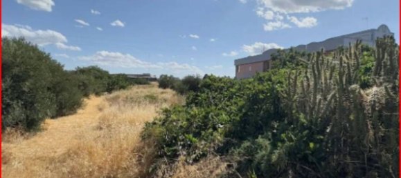 Grundstück in Barletta, Italy 2379m², Nr. 273832 2