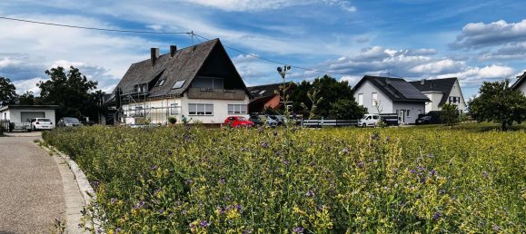 Terreno en Breisgau-Hochschwarzwald, Germany No. 230768 2