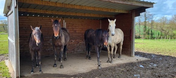 Castelos T3 em Ligne, France N.º 343178 16