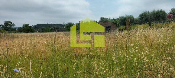  قطعة أرض في Cernache, Portugal 2900متر مربع رقم 78542 9