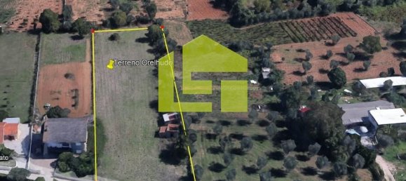  قطعة أرض في Cernache, Portugal 2900متر مربع رقم 78542 13