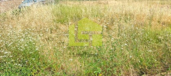  قطعة أرض في Cernache, Portugal 2900متر مربع رقم 78542 11