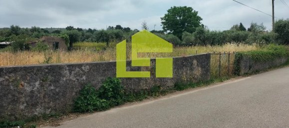  قطعة أرض في Cernache, Portugal 2900متر مربع رقم 78542 5