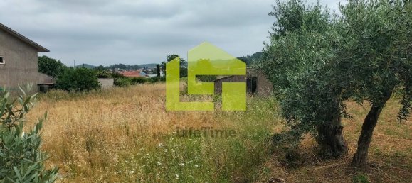  قطعة أرض في Cernache, Portugal 2900متر مربع رقم 78542 10