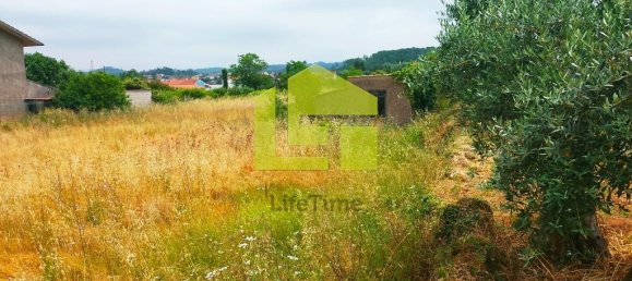  قطعة أرض في Cernache, Portugal 2900متر مربع رقم 78542 12