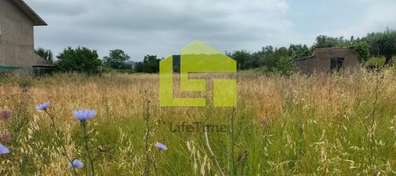  قطعة أرض في Cernache, Portugal 2900متر مربع رقم 78542 8