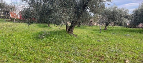 3 bedrooms House in Sao Pedro de Sarracenos, Portugal No. 173077 2