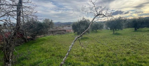 3 bedrooms House in Sao Pedro de Sarracenos, Portugal No. 173077 3