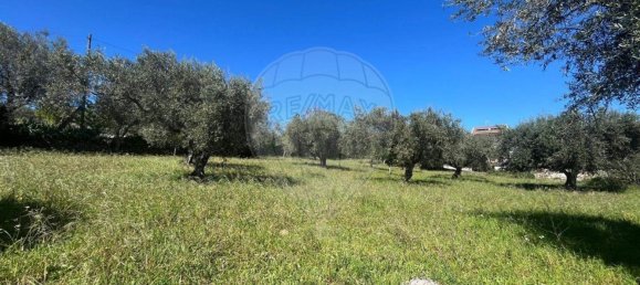 3 bedrooms House in Sao Pedro de Sarracenos, Portugal No. 173077 7