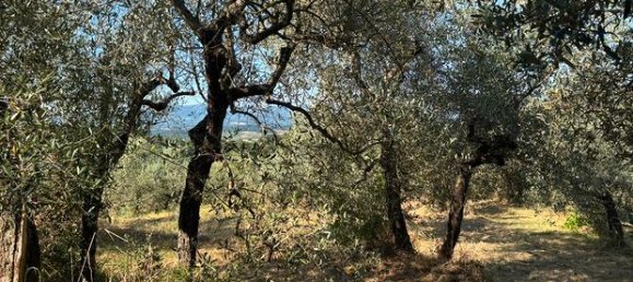 Земельный участок 100000м² в Кастельфранко Пьяндиско, Италия № 304069 2