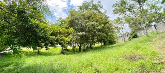 Земельный участок в Сан-Хосе, Коста-Рика № 1494 6