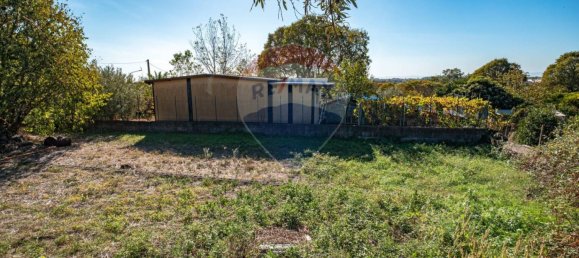1100m² Land in Aci Bonaccorsi, Italy No. 153695 6