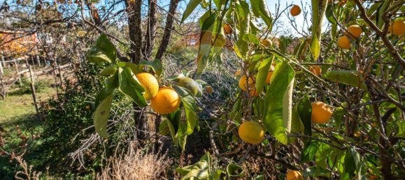 1100m² Land in Aci Bonaccorsi, Italy No. 153695 15