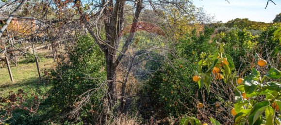 1100m² Land in Aci Bonaccorsi, Italy No. 153695 14