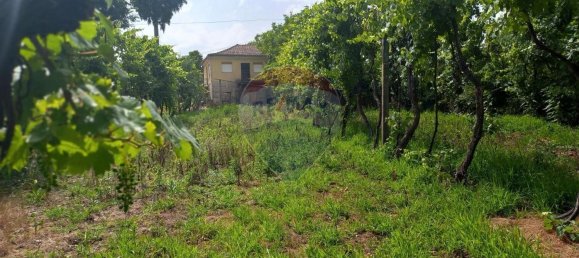 4 غرف نوم منزل في Vale de Bouro, Portugal رقم 169245 9