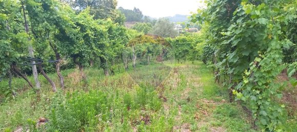 4 غرف نوم منزل في Vale de Bouro, Portugal رقم 169245 8