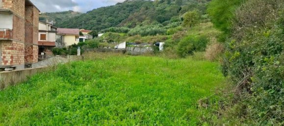 Grundstück in Gasperina, Italy 1075m², Nr. 278740 4