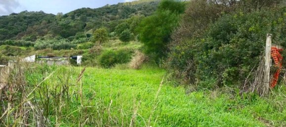 Grundstück in Gasperina, Italy 1075m², Nr. 278740 6