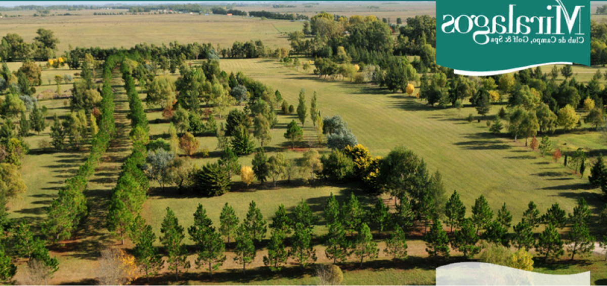  Land in Campo Creado, Argentina No. 49102