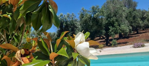 4 bedrooms House in Ceglie Messapica, Italy No. 376425 14