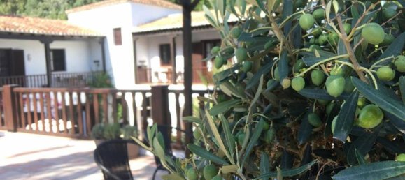 9 Schlafzimmer Haus in Estepona, Spain, Nr. 147067 19