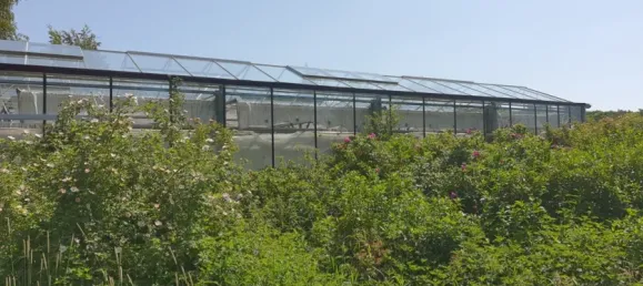 3 Schlafzimmer Haus in Essen, Germany, Nr. 79931 4