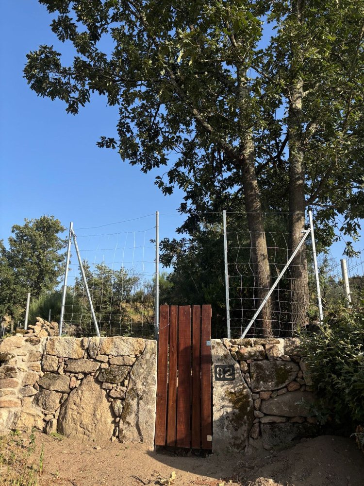  قطعة أرض في Mangualde, Portugal رقم 206009