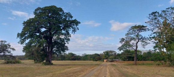  Land in Santa Cruz, Costa Rica No. 1942 4