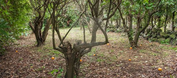 6 Schlafzimmer Haus in Praia da Vitoria, Portugal, Nr. 36113 42