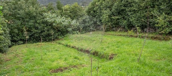 6 Schlafzimmer Haus in Praia da Vitoria, Portugal, Nr. 36113 41