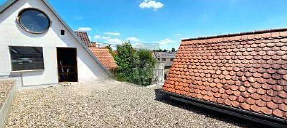 4-Zimmer Haus in Mainz-Bingen, Germany, Nr. 241563 3