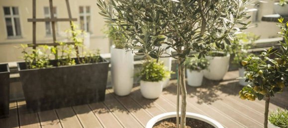 4 bedrooms Duplex in Courbevoie, France No. 323194 2