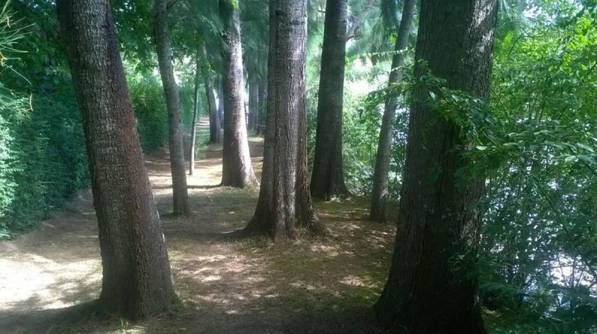  Land in Tigre, Argentina No. 112284