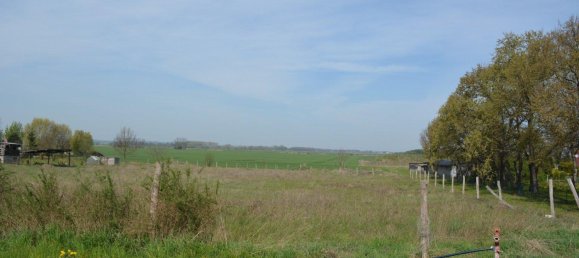 Terrain à Markisch-Oderland, Germany No. 223826 2