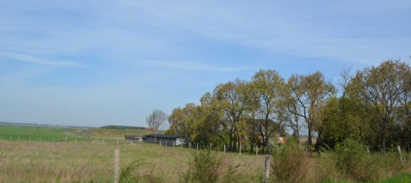 Terrain à Markisch-Oderland, Germany No. 223826 4