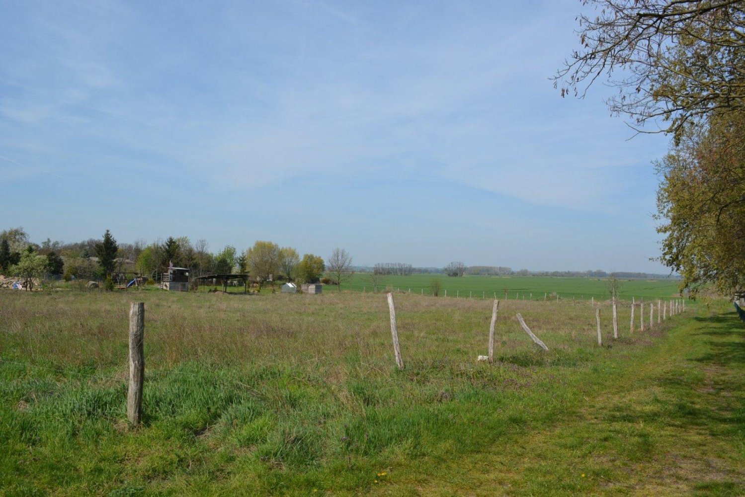Terrain à Markisch-Oderland, Germany No. 223826