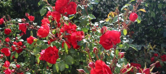 6 غرف نوم منزل في Obidos, Portugal رقم 140844 31