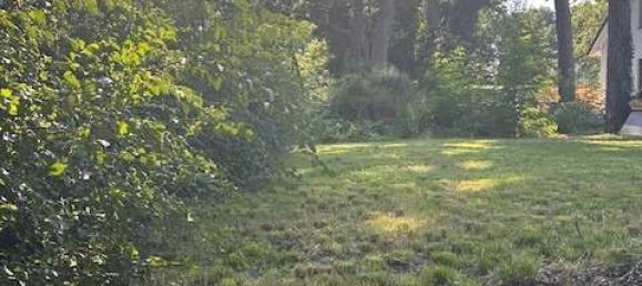 Grundstück in Dahme-Spreewald, Germany, Nr. 35582 2